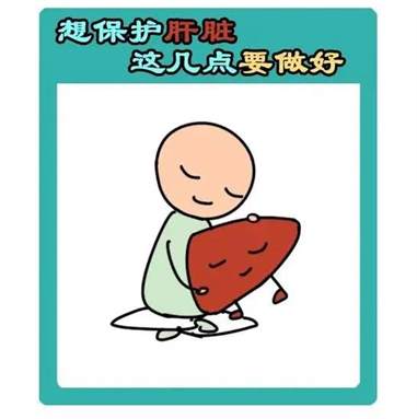 保肝护肝的有效方法：如何正确养护肝脏