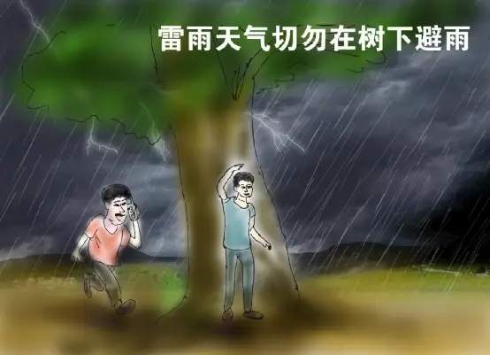 雷电天气安全指南：为什么不能在树下避雨和使用电器？