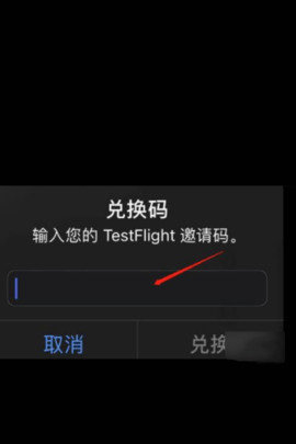 TestFlight邀请码2023最新汇总：大写字母码一览