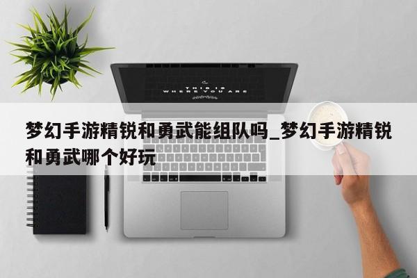 梦幻手游精锐VS勇武：能组队吗？哪个更精彩？