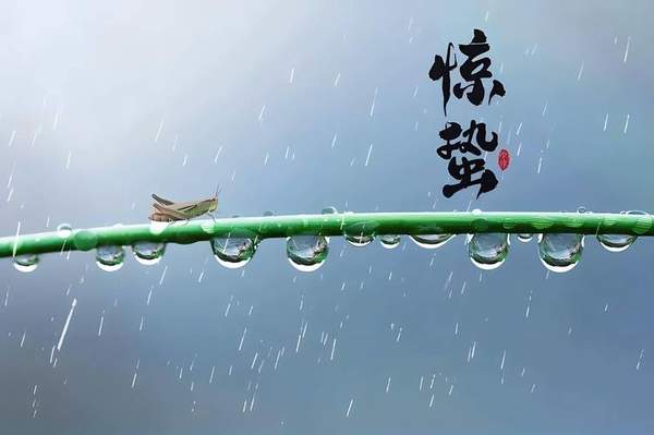 惊蛰含义及日期：每年几月几日？