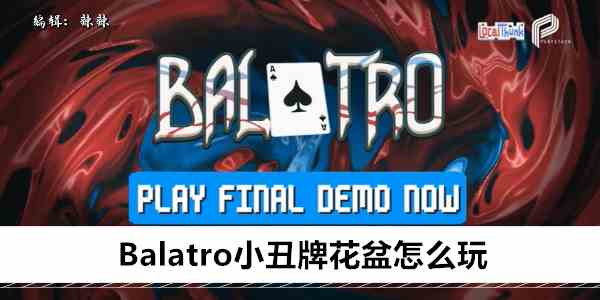 Balatro小丑牌花盆如何玩