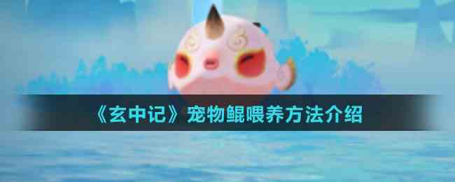 玄中记宠物鲲养育攻略
