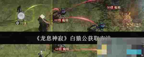 《龙息神寂》白猿公获取方法