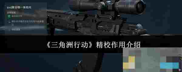 《三角洲行动》精校作用介绍