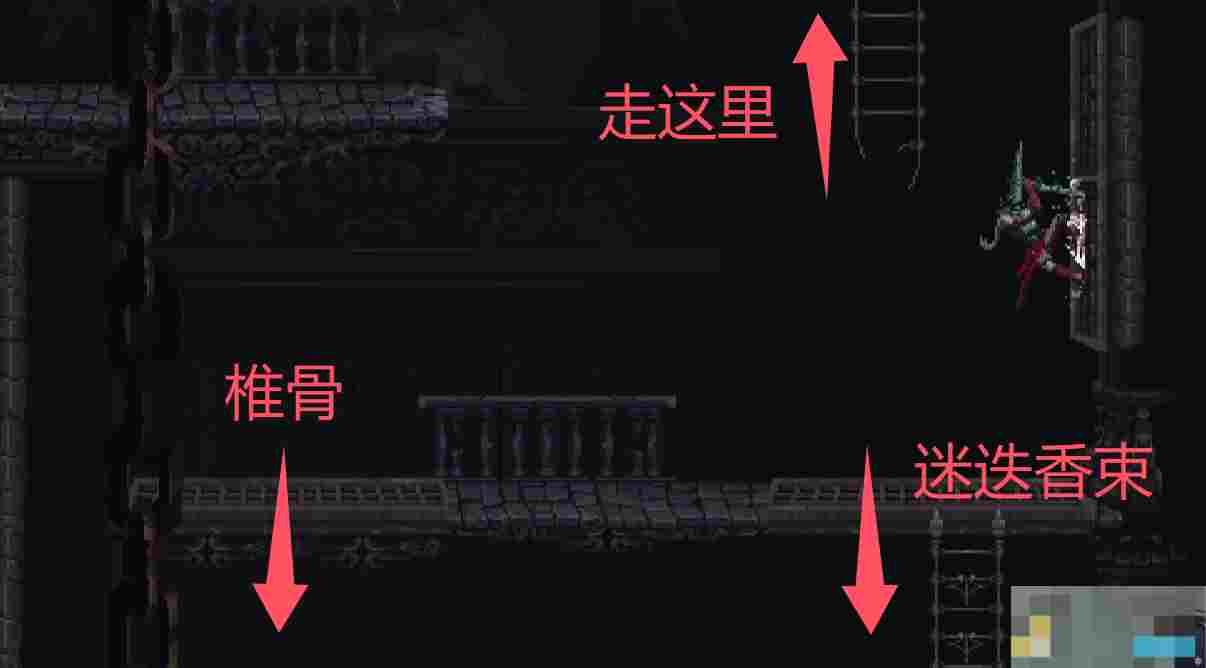 《神之亵渎》洪多收集向流程攻略