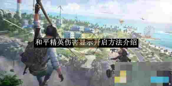 《和平精英》伤害显示开启方法介绍