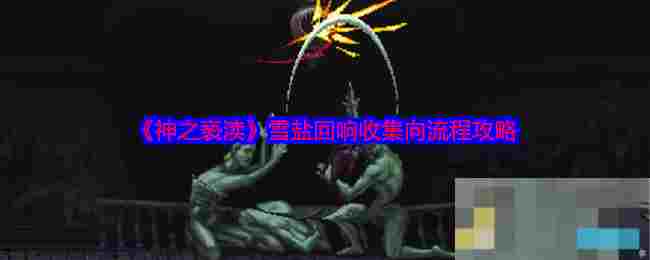 《神之亵渎》雪盐回响收集向流程攻略