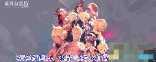 《最终幻想14：水晶世界》63页宠物获得方法