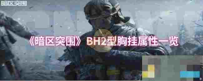 《暗区突围》BH2型胸挂属性一览