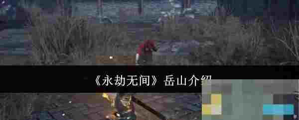 《永劫无间》岳山介绍