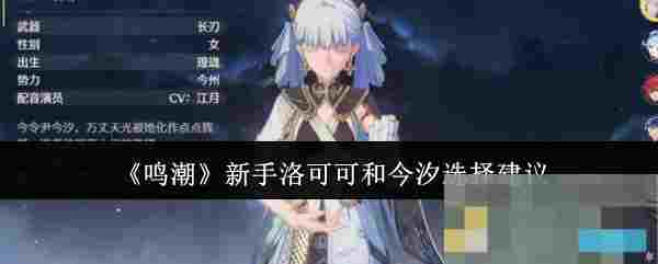 《鸣潮》新手洛可可和今汐选择建议