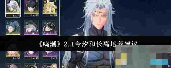 《鸣潮》2.1今汐和长离培养建议