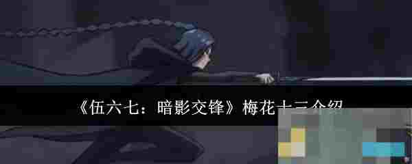 《伍六七：暗影交锋》梅花十三介绍