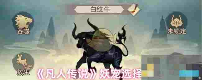《凡人传说》妖宠选择攻略