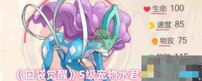 《口袋觉醒》S级宠物水君搭配推荐