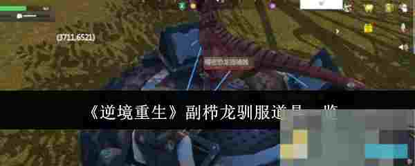 《逆境重生》副栉龙驯服道具一览