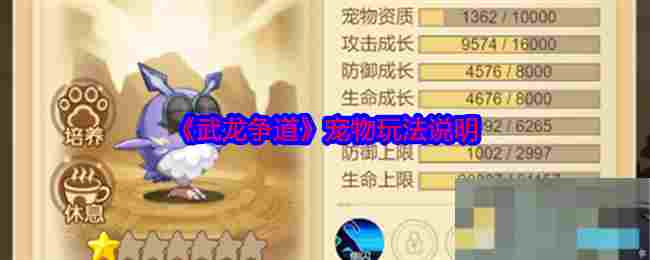 《武龙争道》宠物玩法说明