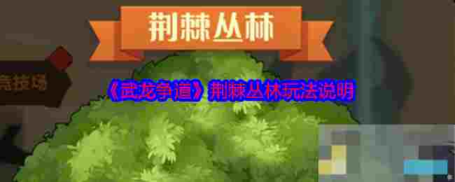 《武龙争道》荆棘丛林玩法说明