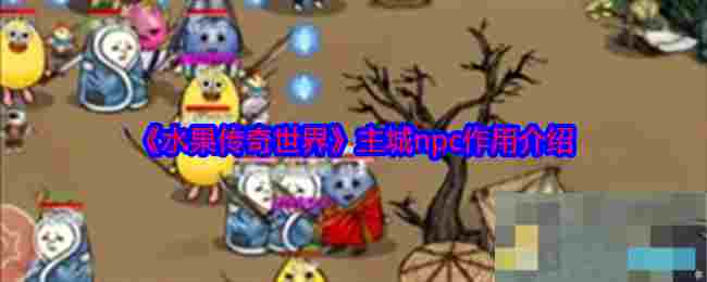 《水果传奇世界》主城npc作用介绍