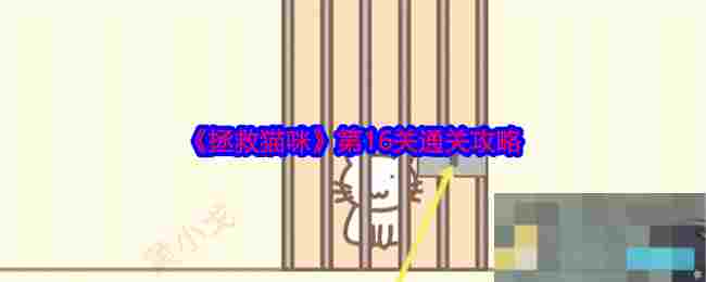 《拯救猫咪》第16关通关攻略