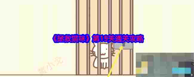 《拯救猫咪》第19关通关攻略