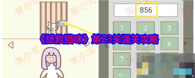 《拯救猫咪》第23关通关攻略