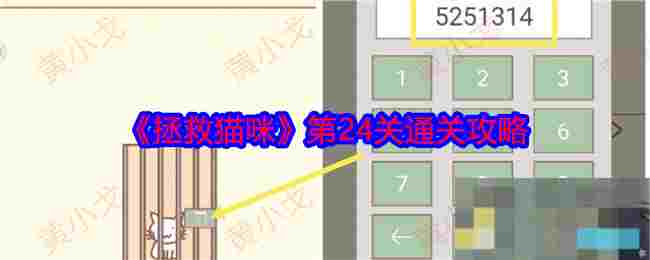 《拯救猫咪》第24关通关攻略