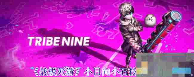《战极死游》小日向小石技能介绍