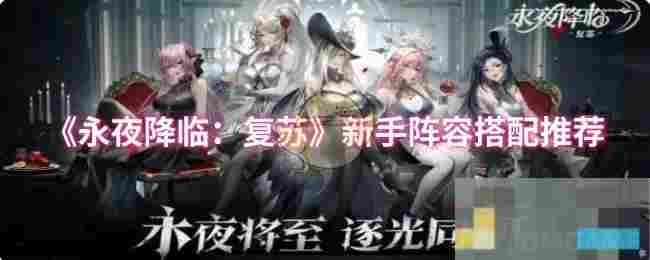 《永夜降临：复苏》新手阵容搭配推荐