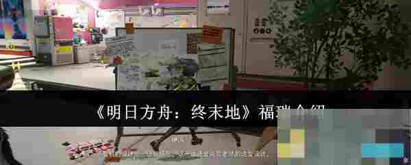 《明日方舟：终末地》福瑞介绍