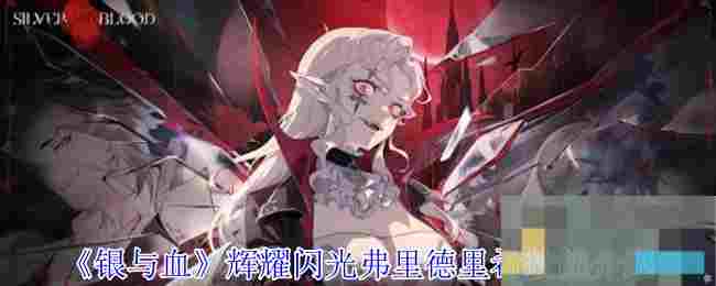 《银与血》辉耀闪光弗里德里希技能介绍