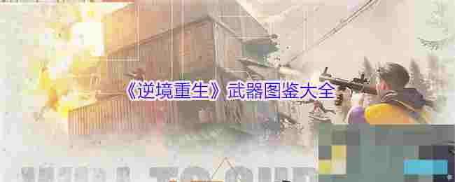 《逆境重生》武器图鉴大全