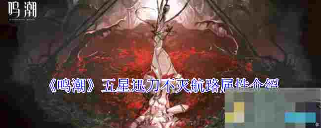 《鸣潮》五星迅刀不灭航路属性介绍