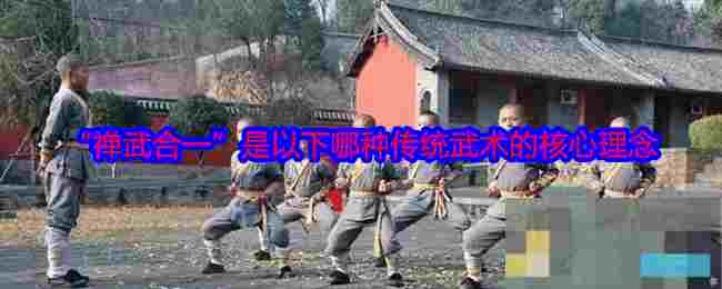 “禅武合一”是以下哪种传统武术的核心理念