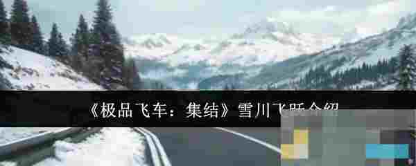 《极品飞车：集结》雪川飞跃介绍
