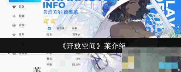 《开放空间》莱介绍