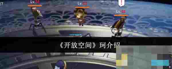 《开放空间》珂介绍