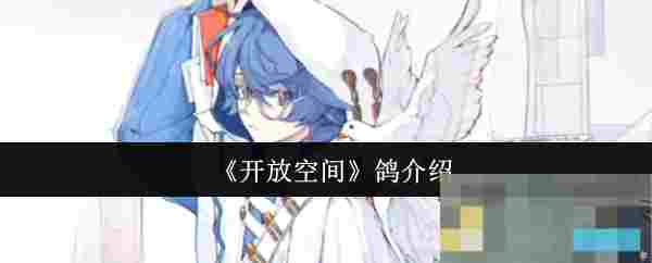 《开放空间》鸽介绍