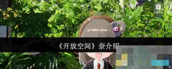 《开放空间》奈介绍