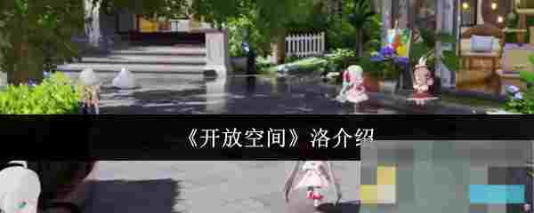 《开放空间》洛介绍