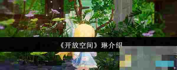 《开放空间》琳介绍