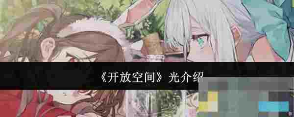 《开放空间》光介绍