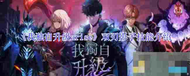 《我独自升级arise》双刃影子技能介绍