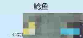 《星露谷物语》鲶鱼收集攻略