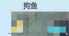 《星露谷物语》狗鱼收集攻略