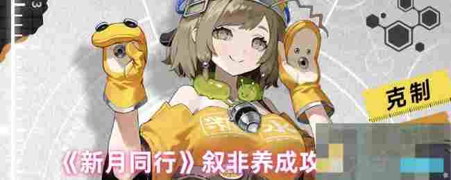 《新月同行》叙非养成攻略大全
