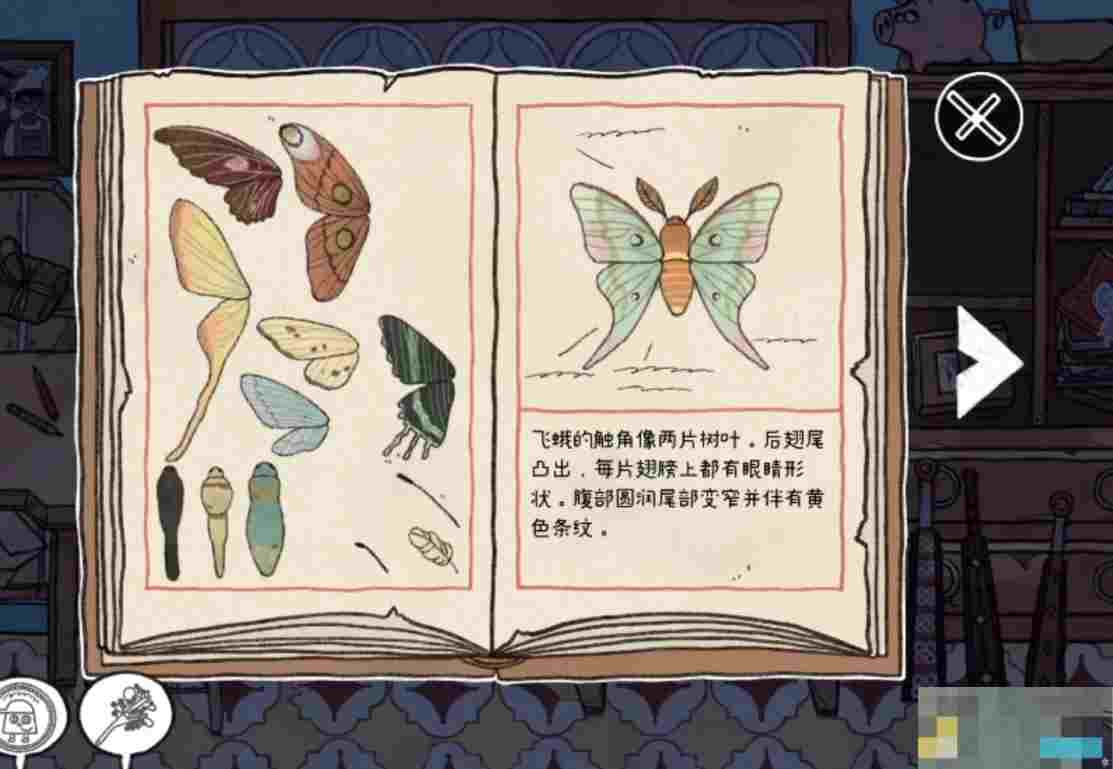 《窗台上的蝴蝶》第一章通关攻略详解