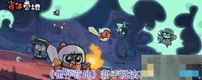 《雀仔营地》新手玩法攻略