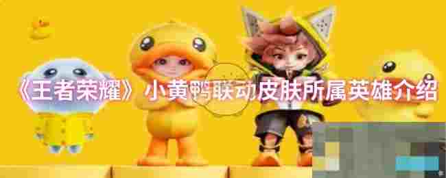 《王者荣耀》小黄鸭联动皮肤所属英雄介绍